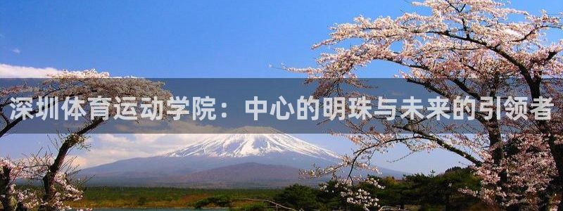 yy易游官网下载平台注册要钱吗安全吗:深圳体育运动学院:中心