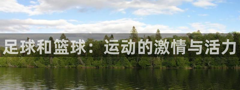 yy易游官方平台体育:足球和篮球:运动的激情与活力